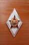 Значок металлический Военная Академия СССР (белый) (латунь, холодные эмали с накладкой)